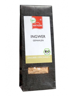 BIO Maxi-Bag Ingwer gemahlen