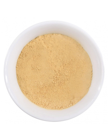 Spice shaker Ginger, ground