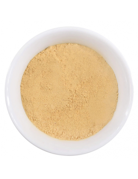 Spice shaker Ginger, ground