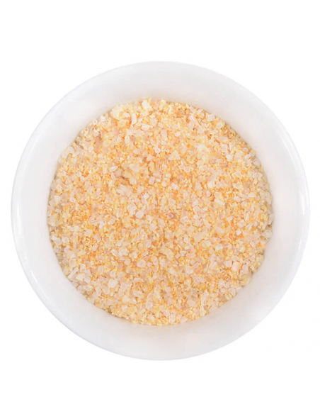 Spice shaker garlic salt