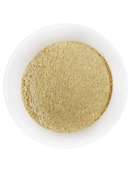 Spice shaker celery salt