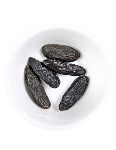 Spice shaker Tonka bean