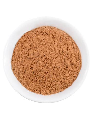 Spice shaker cinnamon, ground