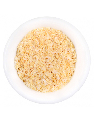 Spice shaker onion-salt