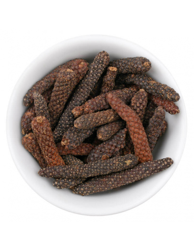 Long pepper gourmet spice in a glass