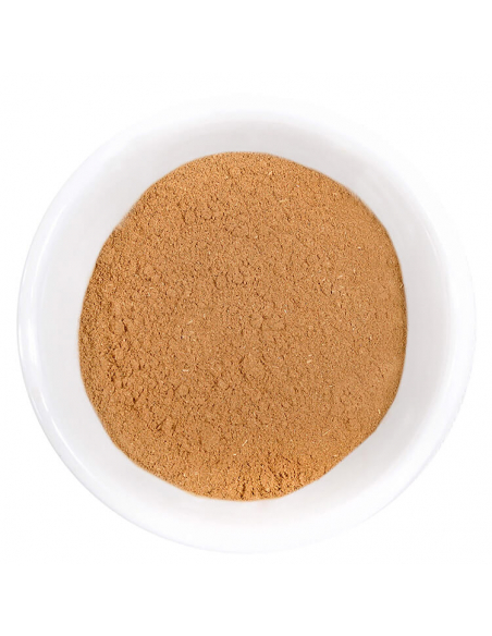 Bio spice refill bag Cinnamon Ceylon Canehl ground