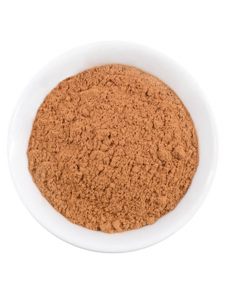 Bio spice refill bag Zimt Cassia ground