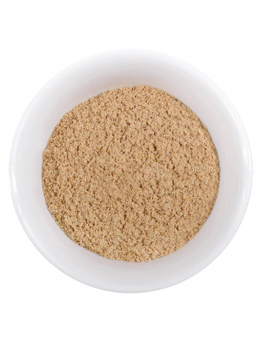 Bio spice refill bag Coriander ground