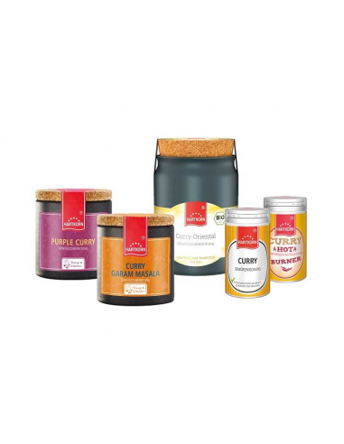 Curry Gewürzset