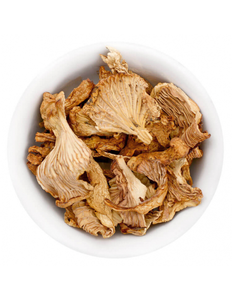 Flat bag dried chanterelles