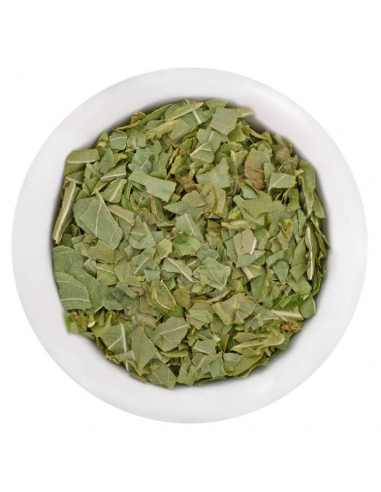 Basilikum gefriergetrocknet Gourmetgewürz im Glas