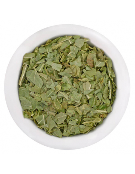 Basilikum gefriergetrocknet Gourmetgewürz im Glas