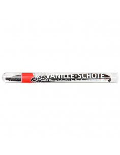 ganze Vanillestange im Glasröhrchen