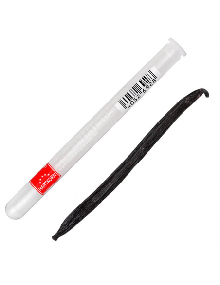 whole vanilla sticks in a glass tube