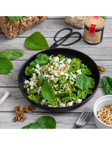 Farfalle mit Spinat-Pesto Rezept