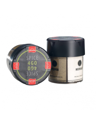 Spice 4 Go Mehrfachstreuer Gewürze online bestellen